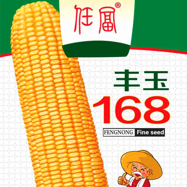 丰玉168